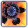 icon poppy